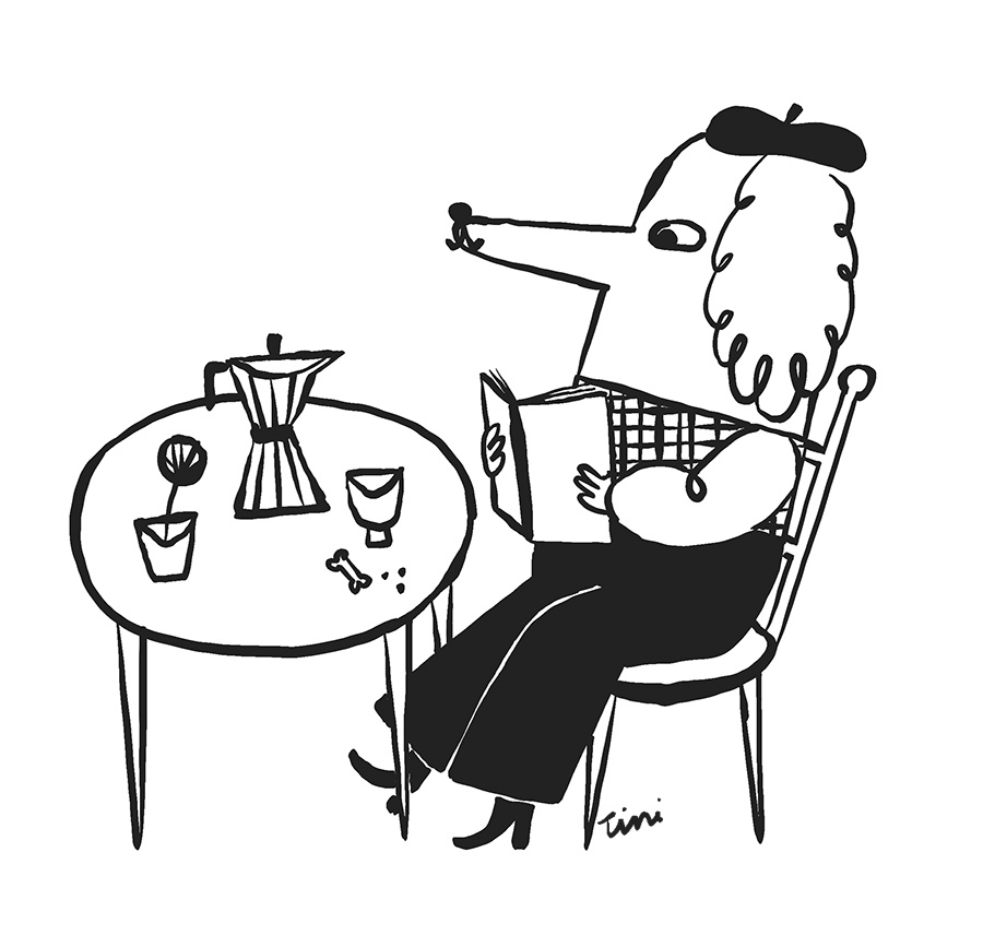 dog reading a book